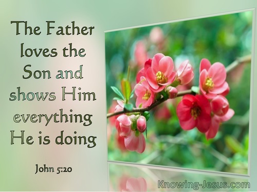 Love between father and son-John 5-20